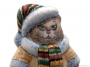 Котик в шубке *